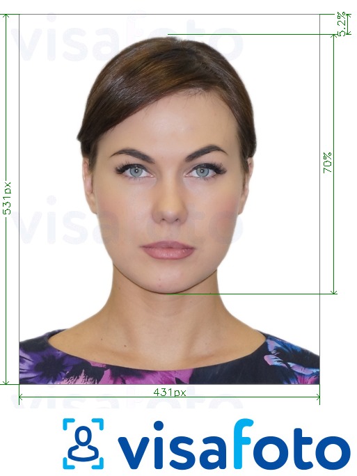 Primer fotografije za Brazilski potni list na spletu 431x531 px z natančno specifikacijo velikosti