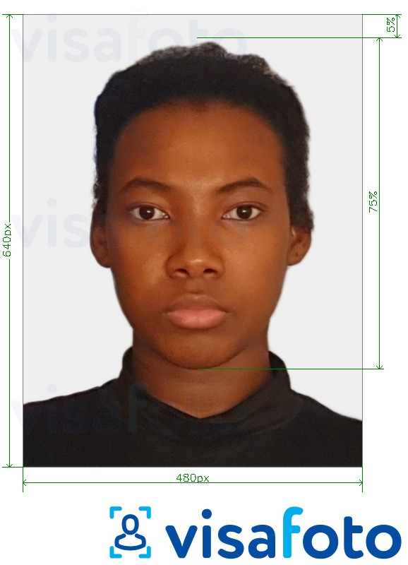 Primer fotografije za Potni list Bahamov 480x640 slikovnih pik z natančno specifikacijo velikosti