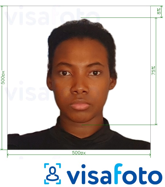 Primer fotografije za Kamerunski vizum na spletu 500x500 px z natančno specifikacijo velikosti