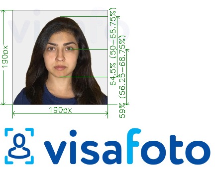 Primer fotografije za Indija Visa 190x190 px preko VFSglobal.com z natančno specifikacijo velikosti