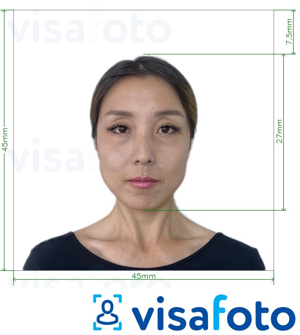 Primer fotografije za Japan Visa 45x45mm, glava 27 mm z natančno specifikacijo velikosti