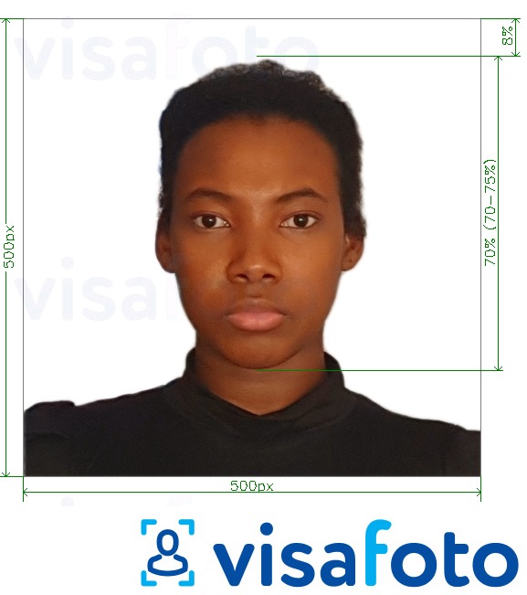 Primer fotografije za Kenija e-vizum na spletu 500x500 točk z natančno specifikacijo velikosti
