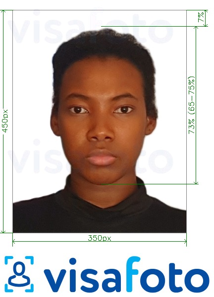 Primer fotografije za Nigerijska spletna vizuma 200-450 slikovnih pik z natančno specifikacijo velikosti