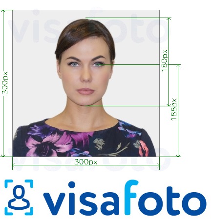 Primer fotografije za Southeastern's ID Card Online 300x300 px z natančno specifikacijo velikosti